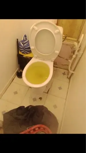 WC bouché puis débouché avant intervention